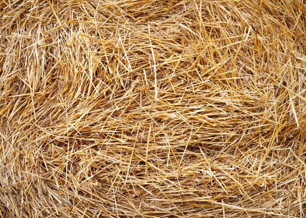 #1. Hay and haylage